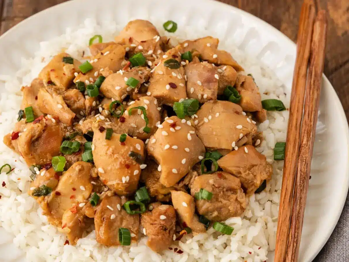 zoomed-in picture of chicken on top of rice on a white plate