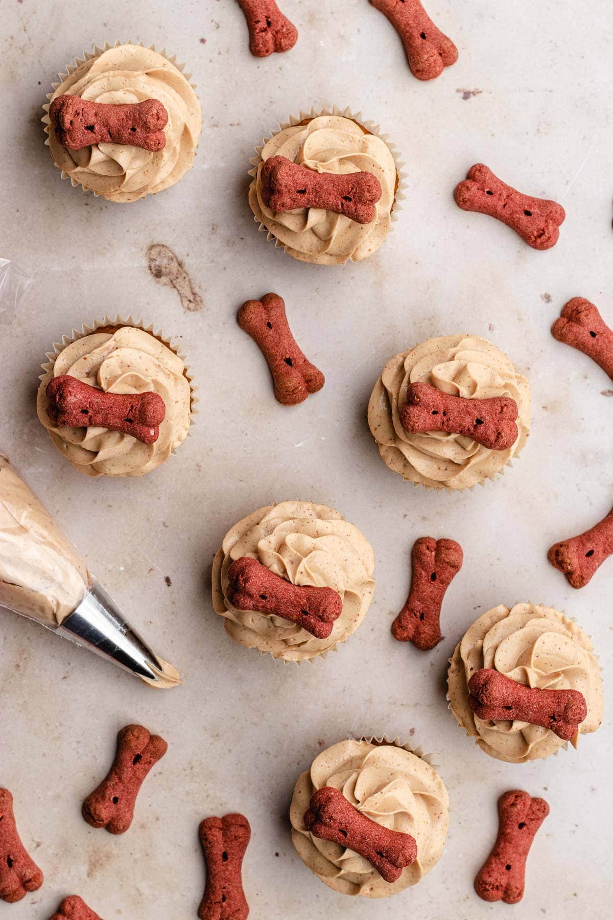 Mini cakes for dogs from above