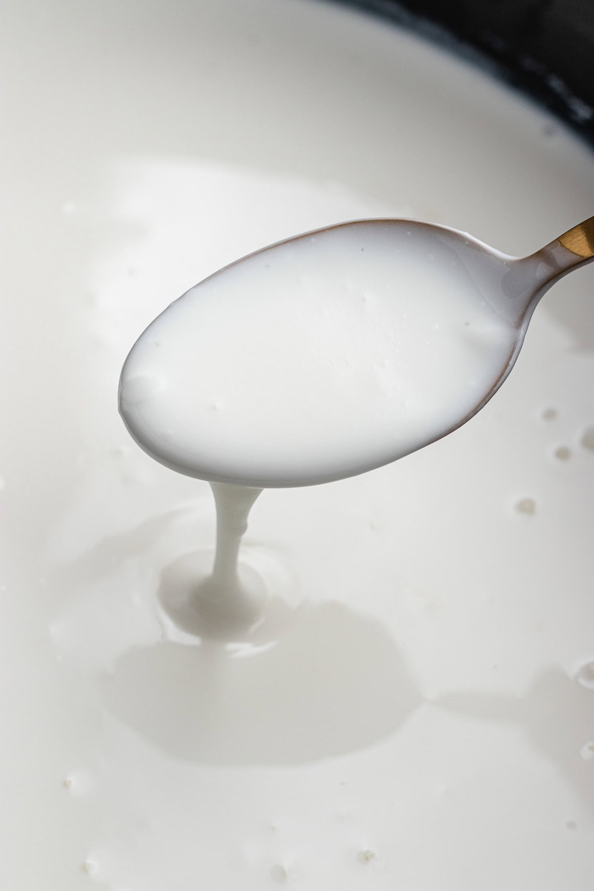 Slow Cooker Yogurt Recipe Dinner, then Dessert