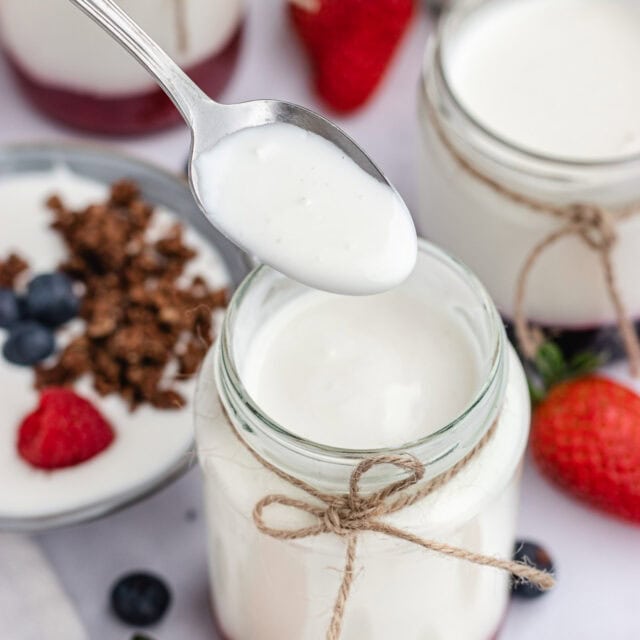 closeup of jar of spoonful of yogurt