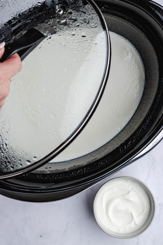 Slow Cooker Yogurt Recipe Dinner, then Dessert