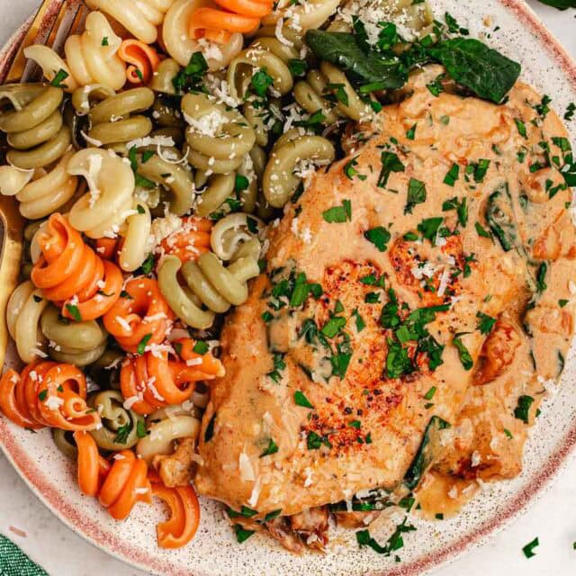 Dinner plate with pasta and creamy chicken breast.