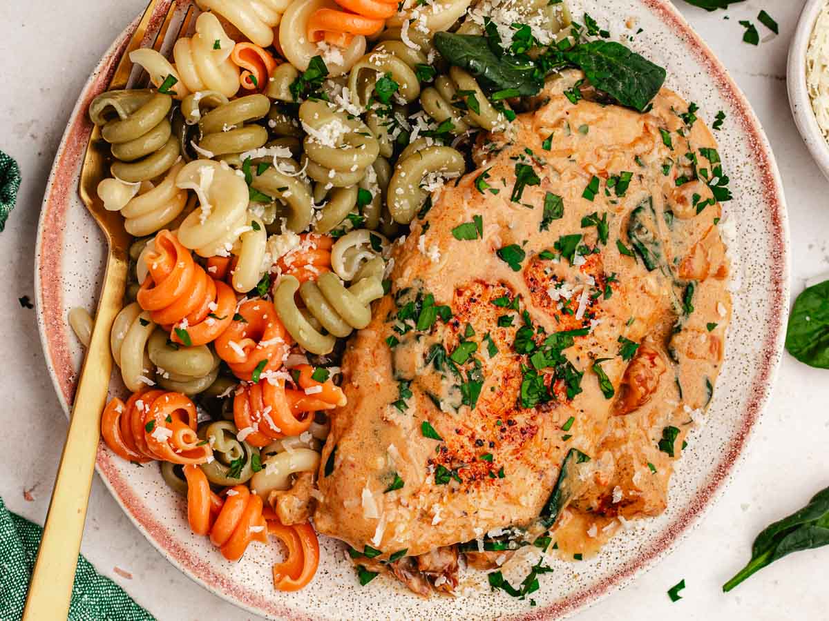 Dinner plate with pasta and creamy chicken breast.