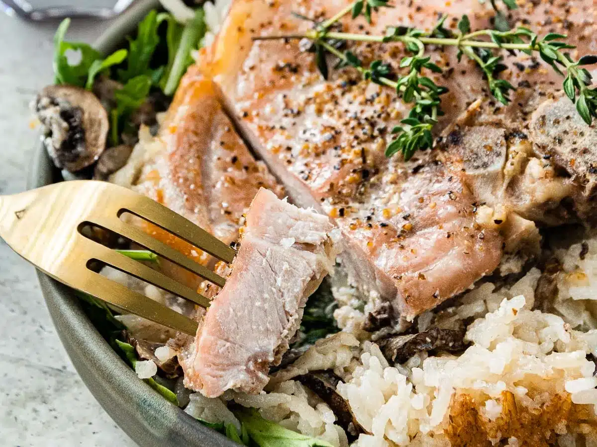 Baked pork on dinner plate with fork.