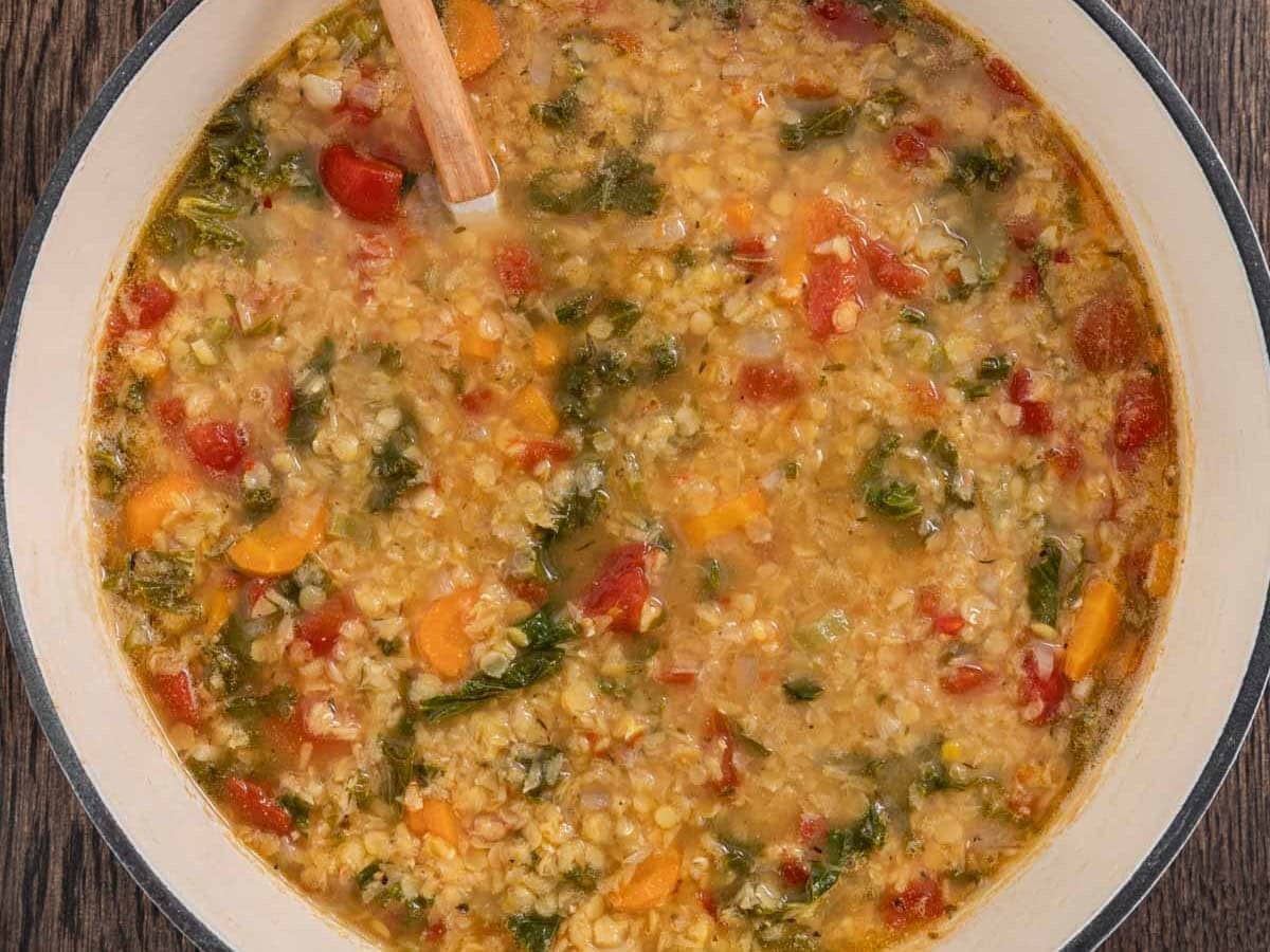 Pot of vegetable and lentil stew