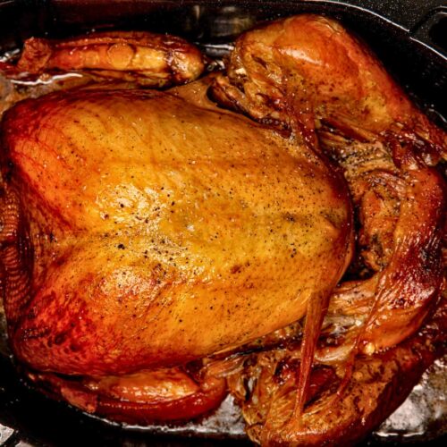 cooked turkey in electric roaster