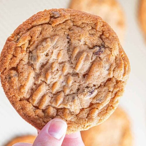 Holding cookie close up over more baked cookies