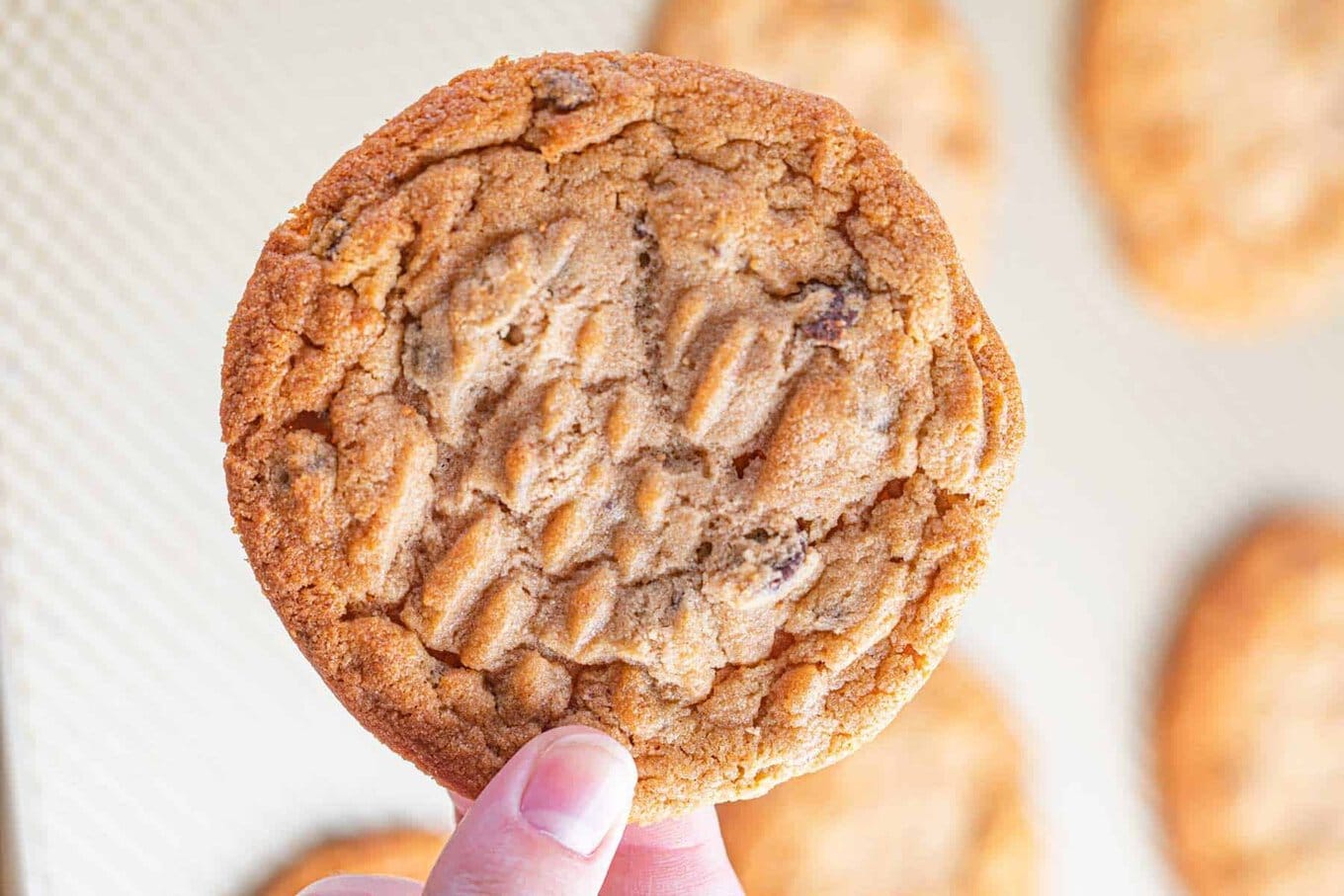 Peanut Butter Chocolate Chip Cookies are the perfect combo of a classic, chewy peanut butter cookie and a bakery style chocolate chip cookie! Holding a baked cookie close up over other baked cookies