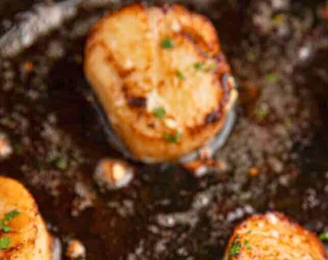 Seared scallops in a pan