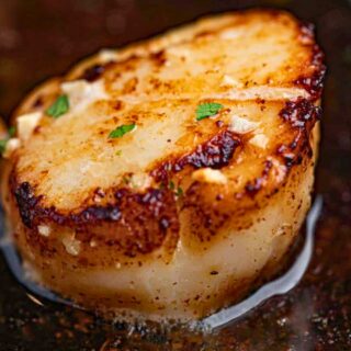 Close-up of pan-seared scallop