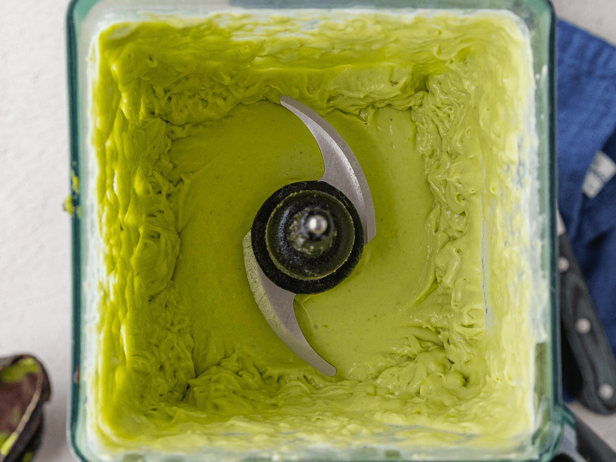 Blended ingredients in blender.
