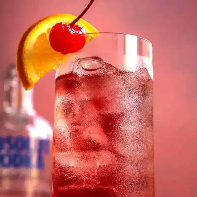 Closeup of cocktail mix on ice with garnishment