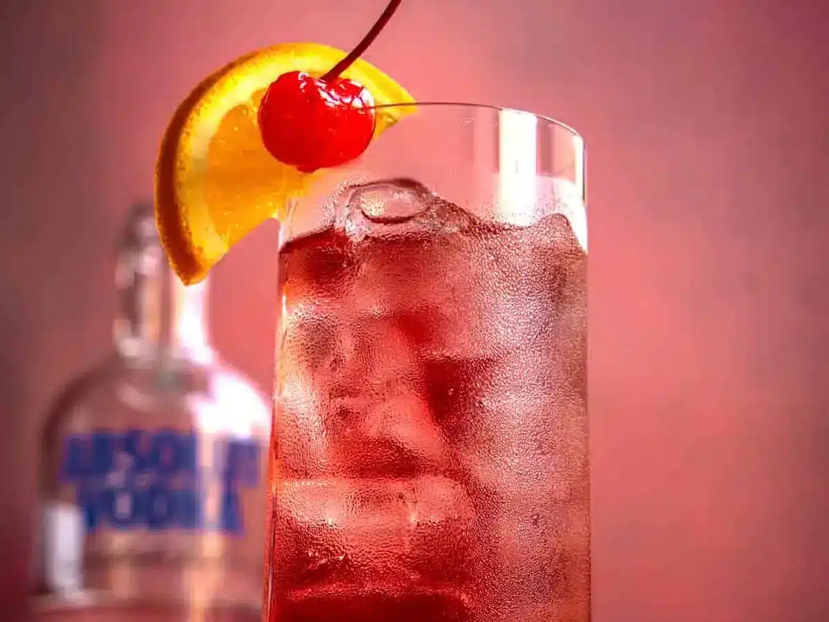 Closeup of cocktail mix on ice with garnishment 