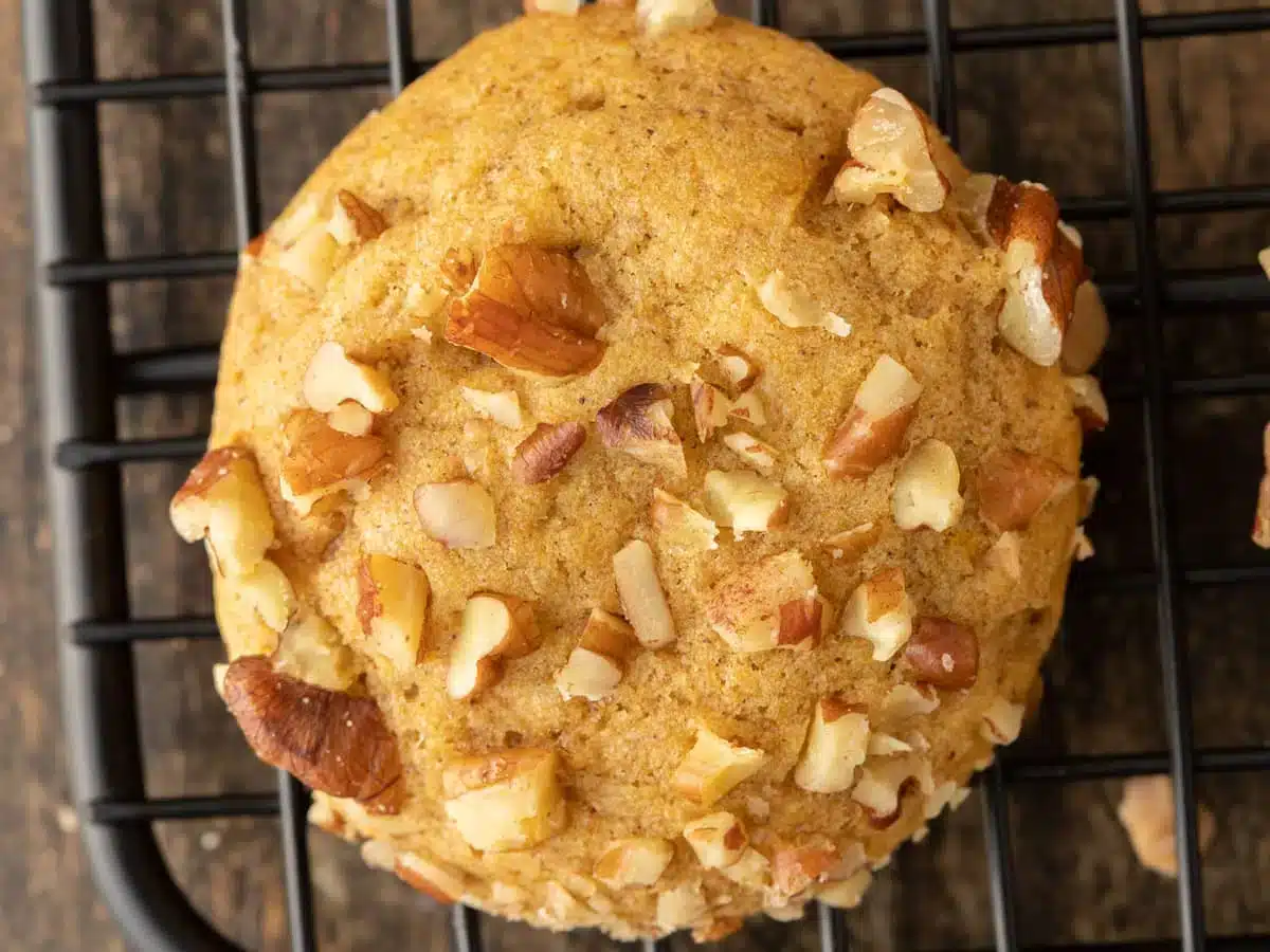 close up of a cookie 