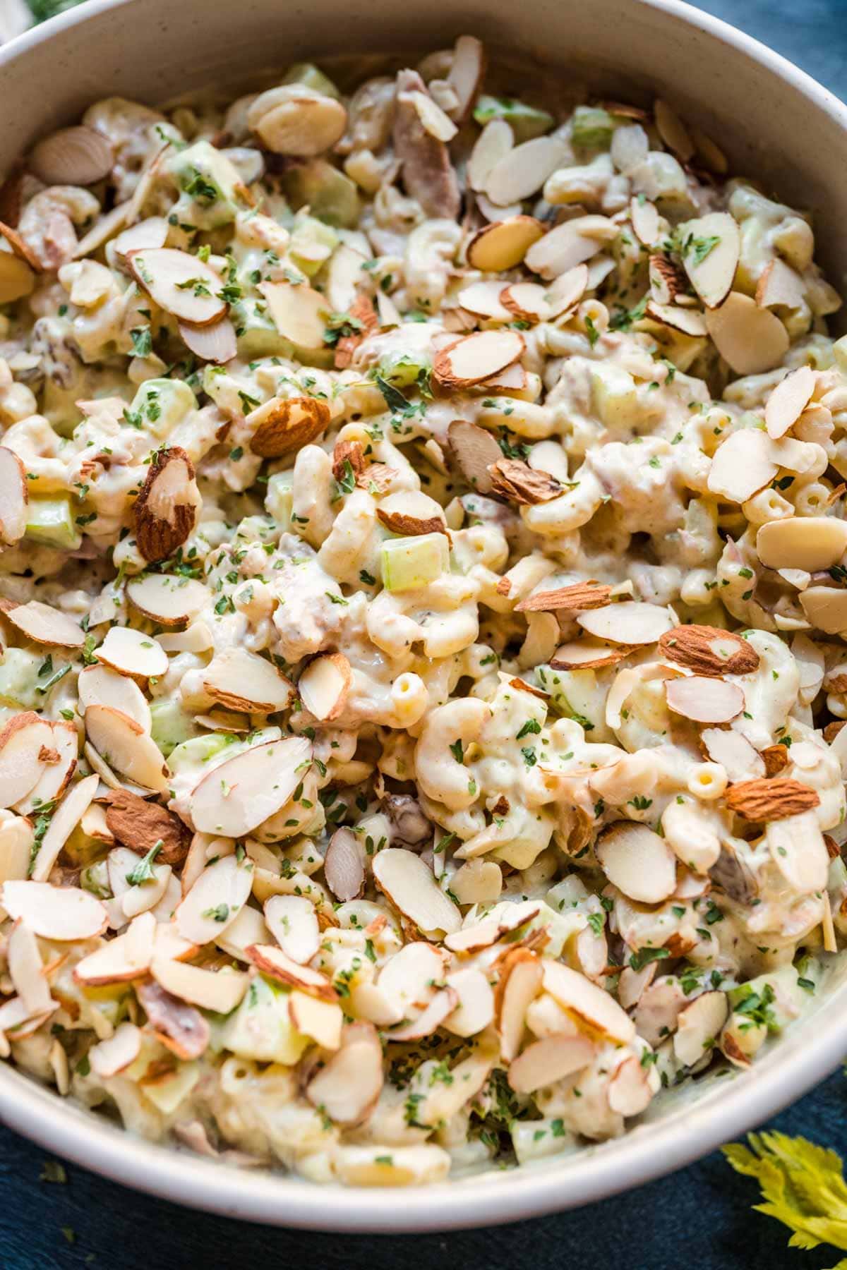 close up of pasta 
