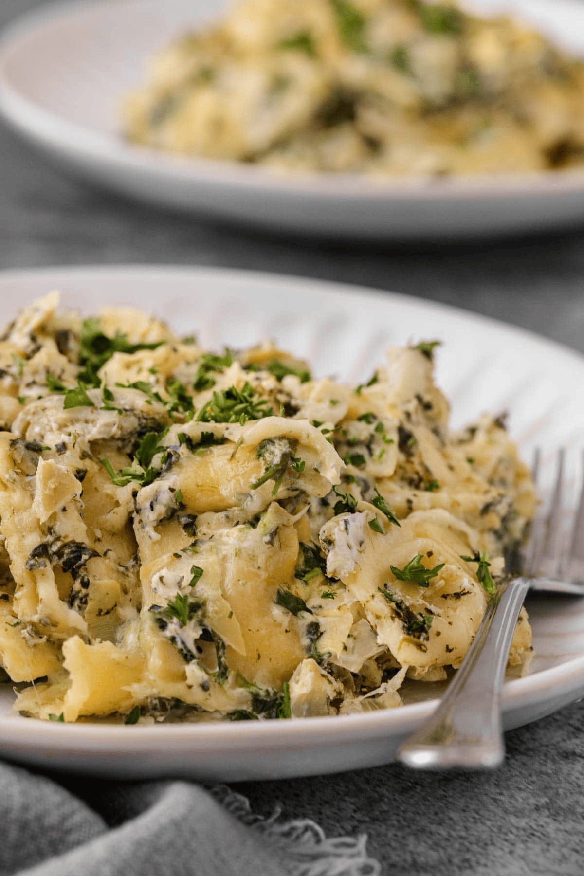 serving of pasta dish from the side