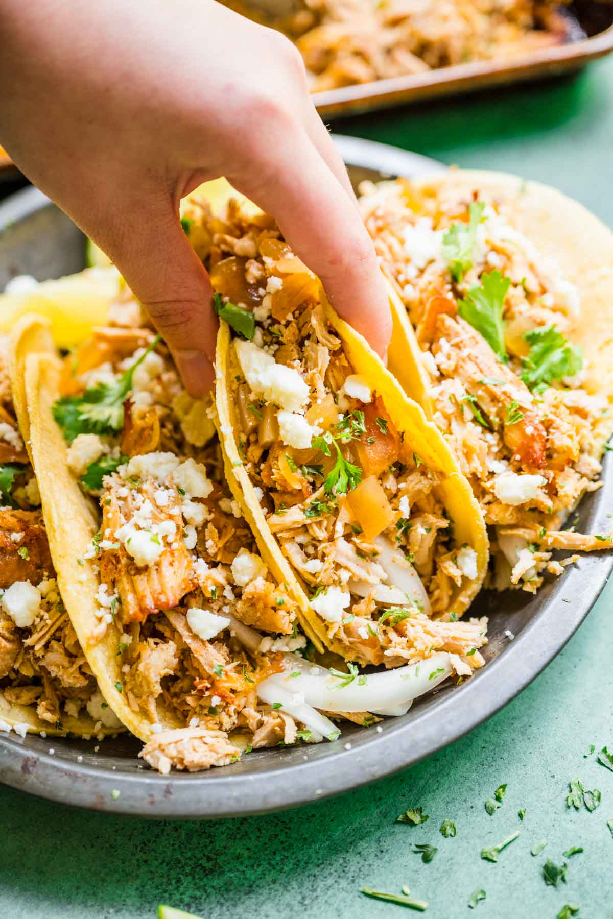 Hand picking up tortilla filled with shredded pork