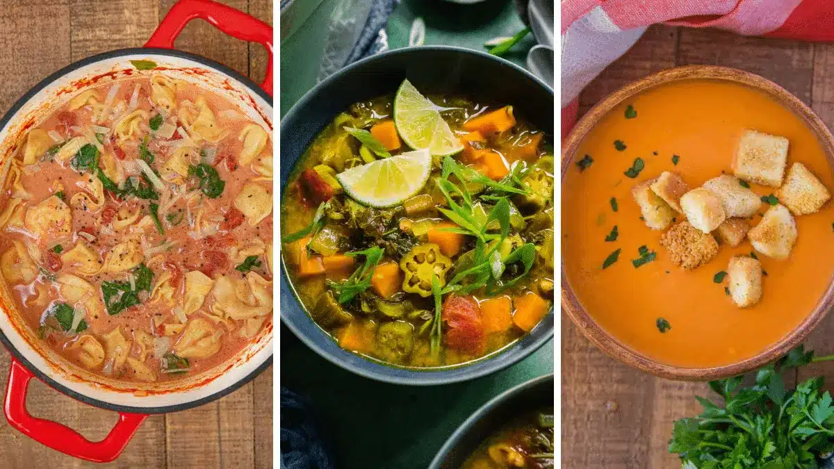 Collage of three types of vegetarian soup