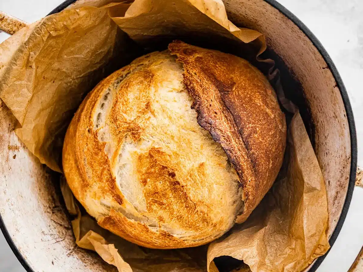 Freshly baked bread loaf.